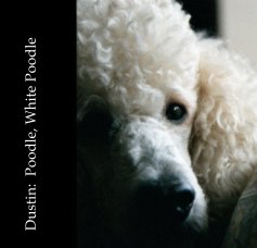 Dustin:  Poodle, White Poodle book cover