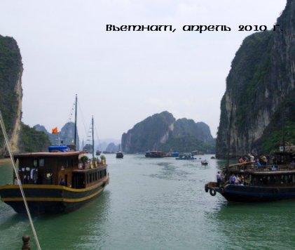 Vietnam, April 2010 book cover