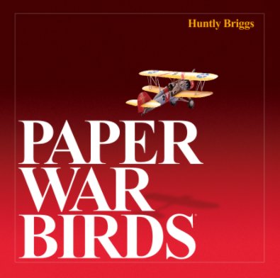 PAPER WAR BIRDS book cover