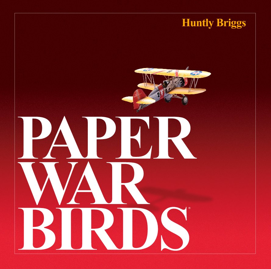 View PAPER WAR BIRDS by Huntly Briggs