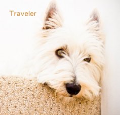 Traveler book cover