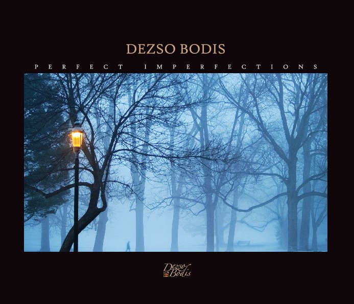 View Perfect Imperfections by Dezso Bodis