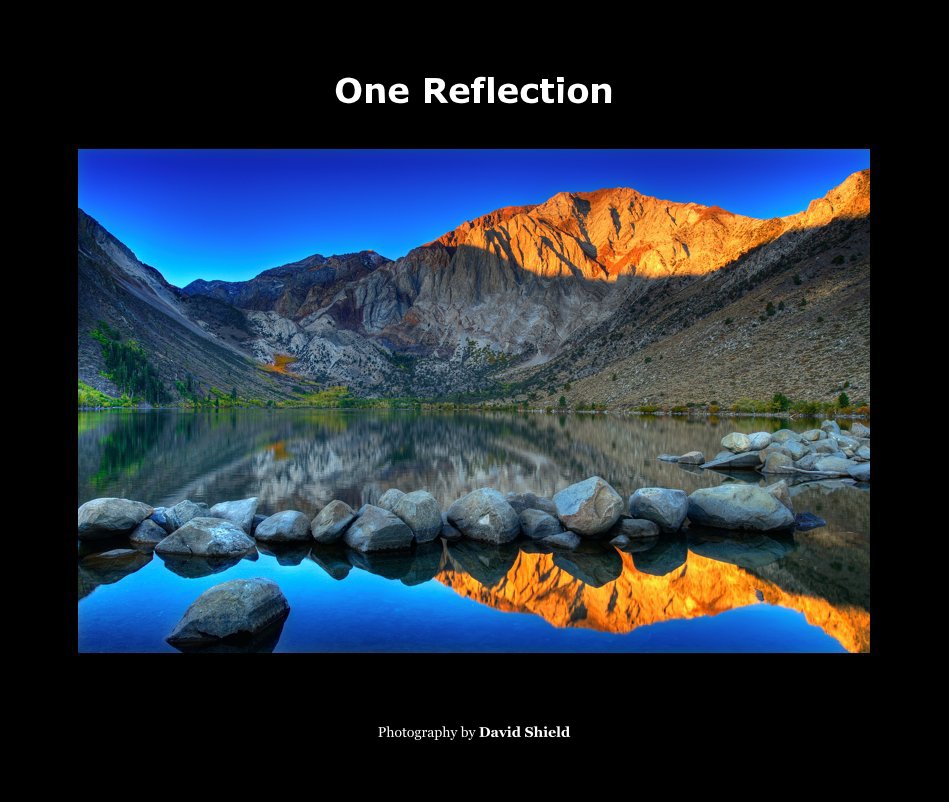 View One Reflection by David Shield