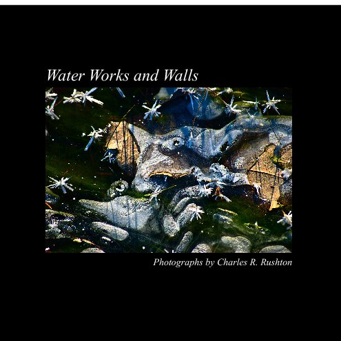 Bekijk Water Works and Walls op Charles R. Rushton
