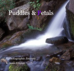 Puddles & Petals book cover