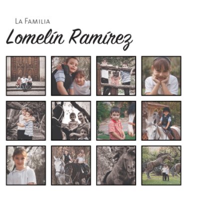 Familia Lomelin Ramirez book cover