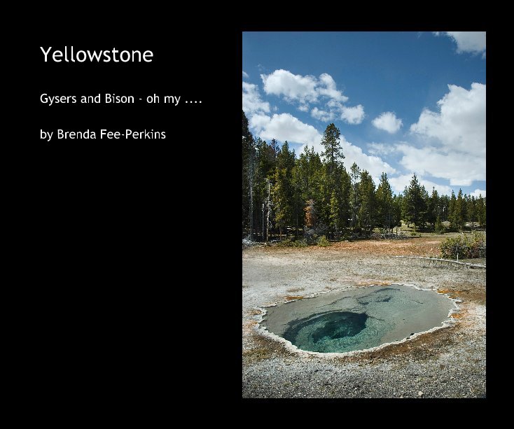 View Yellowstone by Brenda Fee