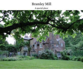 Bramley Mill book cover