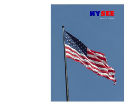 NYSEE book cover