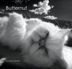 Butternut book cover