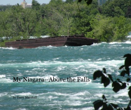 My Niagara--Above the Falls book cover