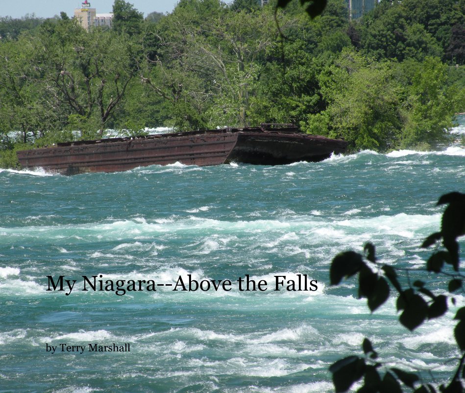 View My Niagara--Above the Falls by Terry Marshall