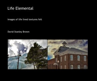 Life Elemental book cover