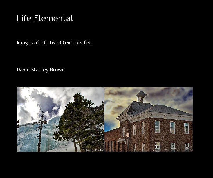 View Life Elemental by David Stanley Brown