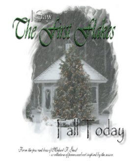 I Saw the First Flakes Fall Today book cover