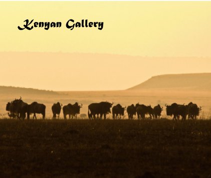 Kenyan Gallery book cover
