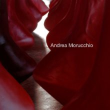 ANDREA MORUCCHIO book cover