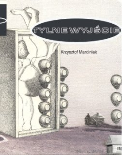 TYLNE WYJŚCIE book cover