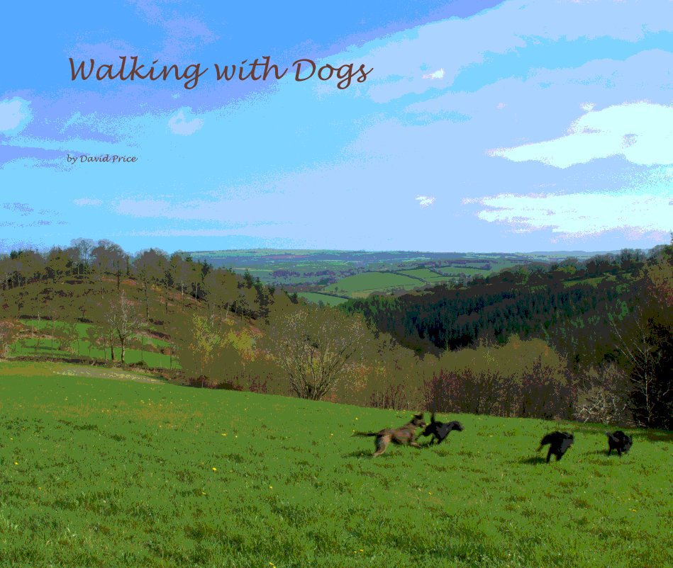 View Walking with Dogs by David Price