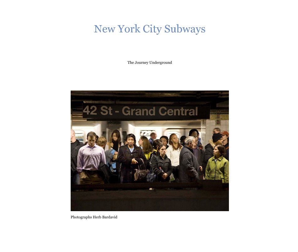 View New York City Subways by Herb Bardavid