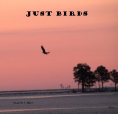 Just Birds book cover