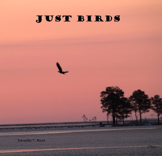 Ver Just Birds por Jeanette T. Mino