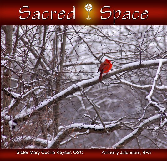 Ver Sacred Space por Mary C. Keyser, OSC & Anthony Jalandoni, BFA