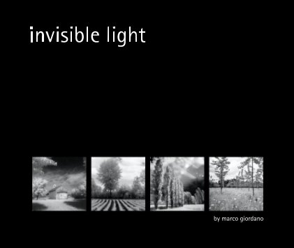 invisible light book cover