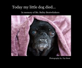Today my little dog died... book cover