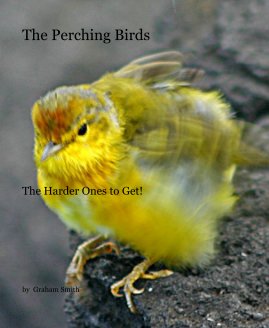 The Perching Birds book cover