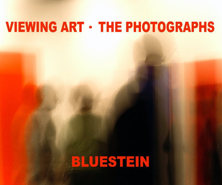 View Viewing Art  /  The Photographs by Richard Bluestein