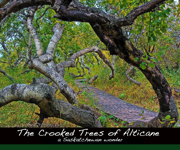 View The Crooked Trees of Alticane by Ken Dalgarno