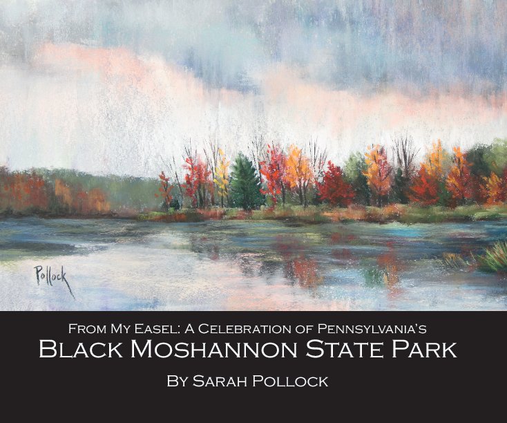 View From My Easel: A Celebration of Pennsylvania's Black Moshannon State Park by Sarah Pollock