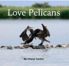 Love Pelicans book cover