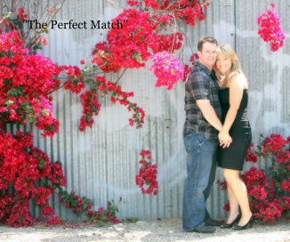 "The Perfect Match" book cover
