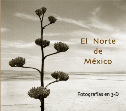 El Norte de Mexico book cover