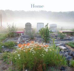 Home book cover