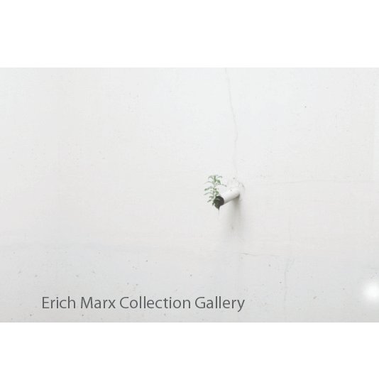 Ver Erich Marx Collection Gallery2 por Rachel North