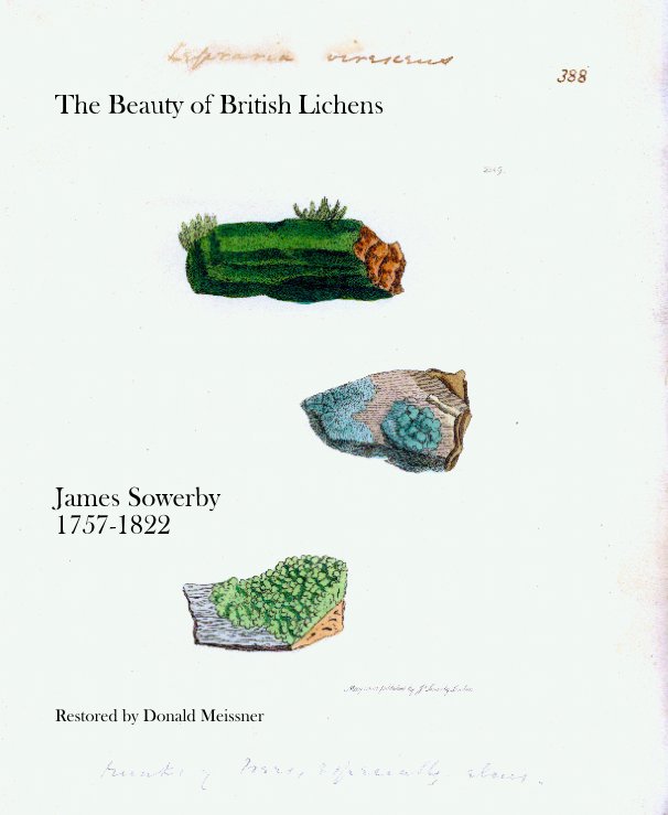 View The Beauty of British Lichens by Donald Meissner