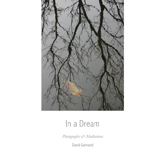 View In a Dream by David Garnand