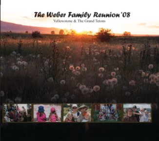Weber Family Reunion 2008 book cover