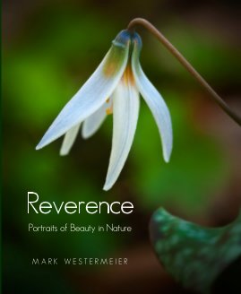 Reverence book cover