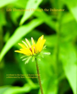 Life Illuminated Through the Dolanator book cover