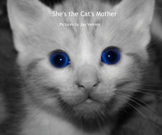 She's the Cat's Mother book cover