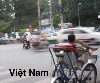 Viá»t Nam book cover