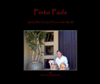 Pinto Pads book cover