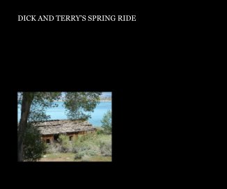 DICK AND TERRY'S SPRING RIDE book cover