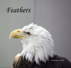 Feathers book cover