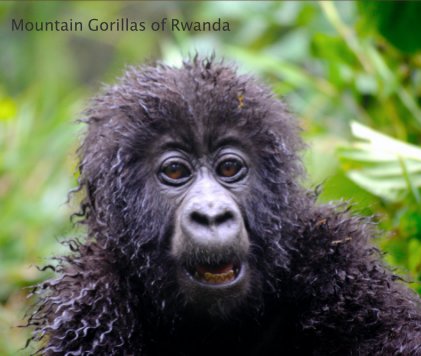 Mountain Gorillas of Rwanda book cover