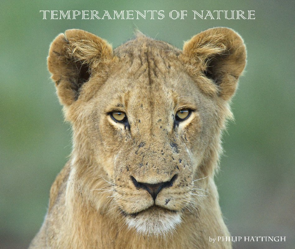 Ver Temperaments of Nature por philip hattingh